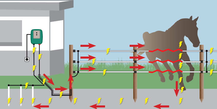 schéma explicatif installation d'une clôture électrique